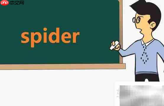 spider怎么读？spider的发音？spider是什么意思