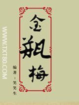 金瓶梅电子书下载-金瓶梅txt小说全集下载