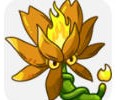 植物大战僵尸融合版3.5.5下载入口-融合版3.5.5官方版游戏下载