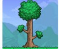 泰拉瑞亚手游下载1.4apk-泰拉瑞亚1.4汉化版下载安装包