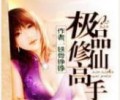 极品修仙高手TXT下载全本-极品修仙高手小说TXT下载免费