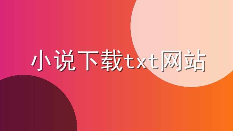 小说下载txt网站