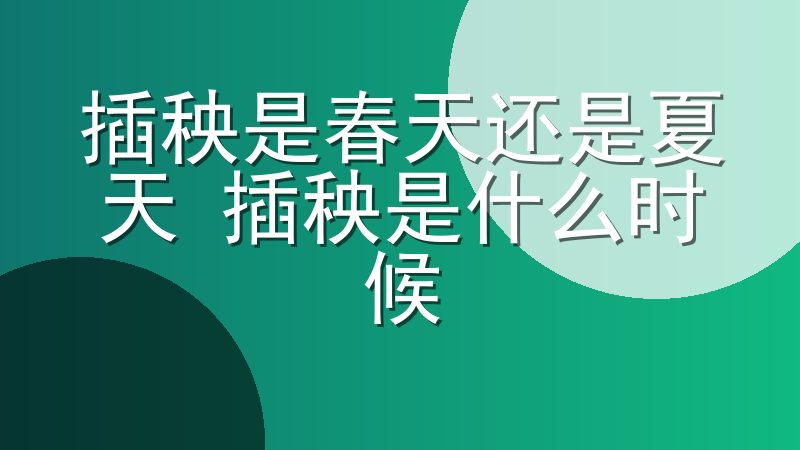 插秧是春天还是夏天 插秧是什么时候